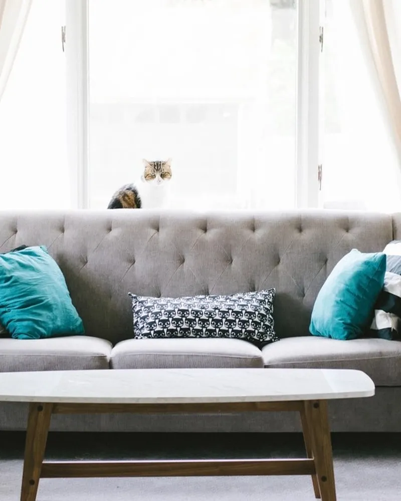 Illustrative photo of throw blanket, not the exact Bedsure Sherpa Fleece Throw