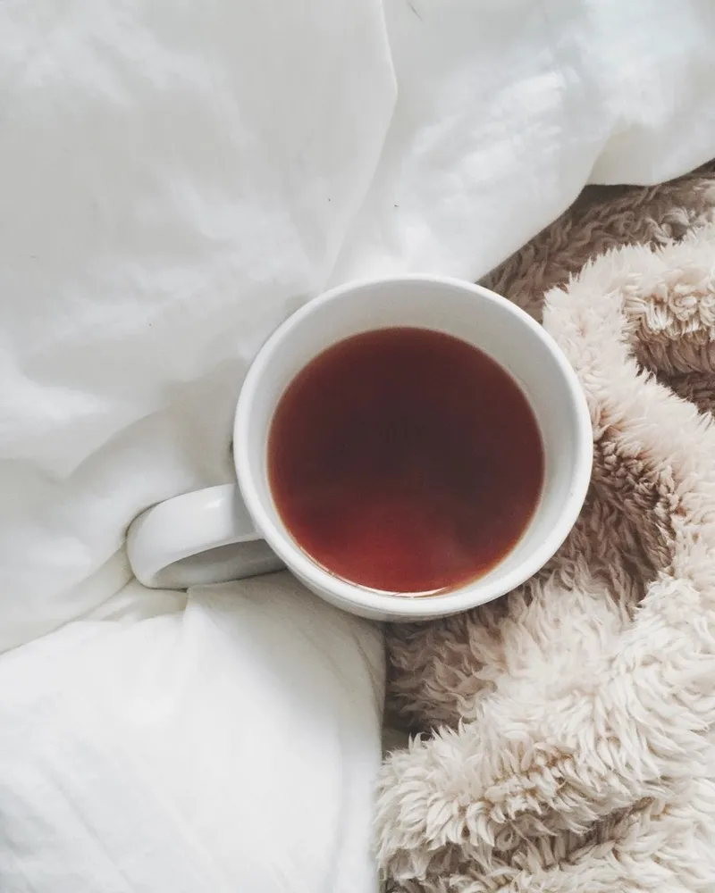 Illustrative photo of throw blanket, not the exact Threshold (Target) Faux Fur Throw
