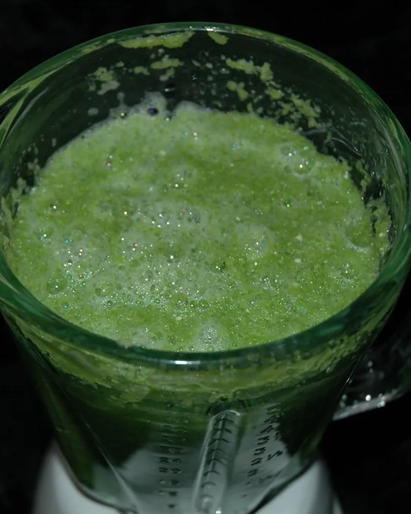 Illustrative photo of a blender, not the exact Vitamix Explorian E310