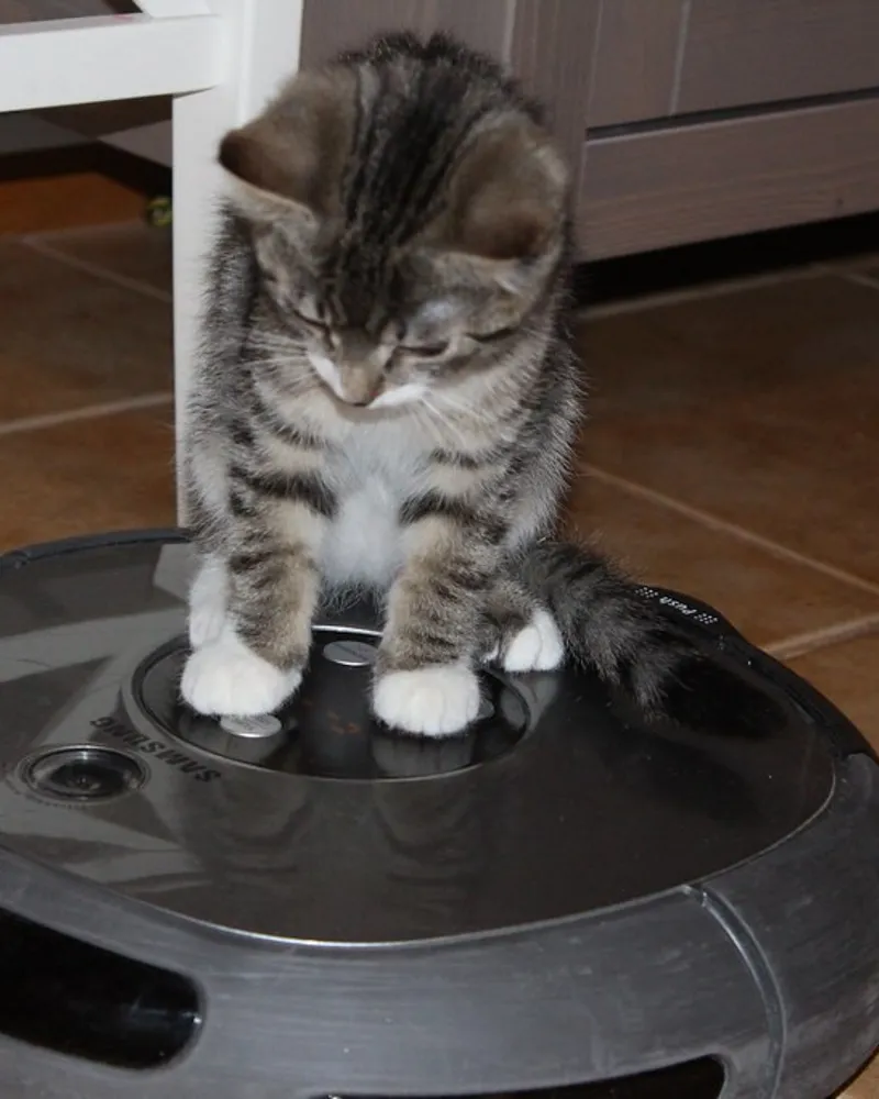 Illustrative photo of a robot vacuum, not the exact Roborock Qrevo Curv 2 Flow