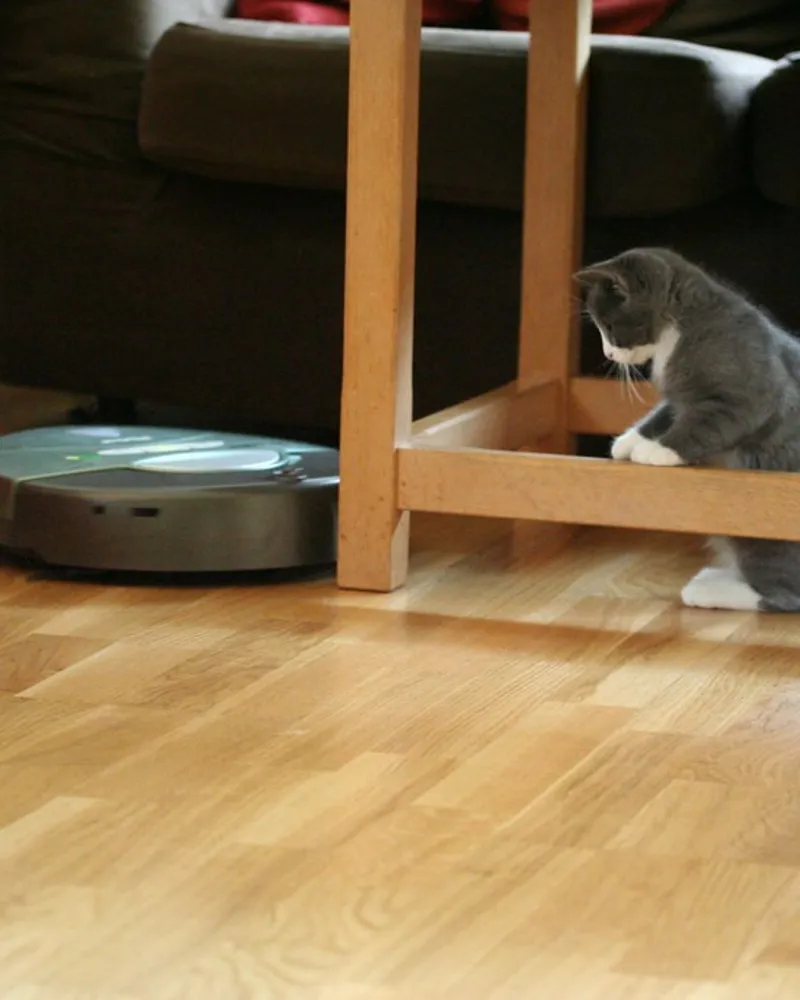 Illustrative photo of a robot vacuum, not the exact iRobot Roomba Combo j9+